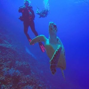 Meet your Posher, Jo-ellen